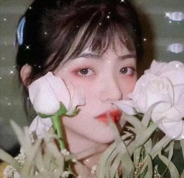 玉屏风